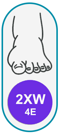 XX-Wide 4E width foot silhouette
