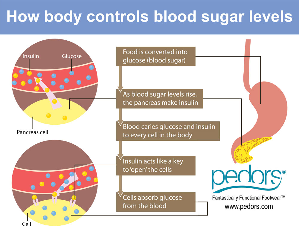 diabetes-a-simple-guide-to-understanding-diabetes-pedors-shoes-store