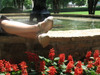 Mary Jane Stretch Shoes For Bunions and Mildly Swollen Feet - Pedors - Lifestyle Image Beige