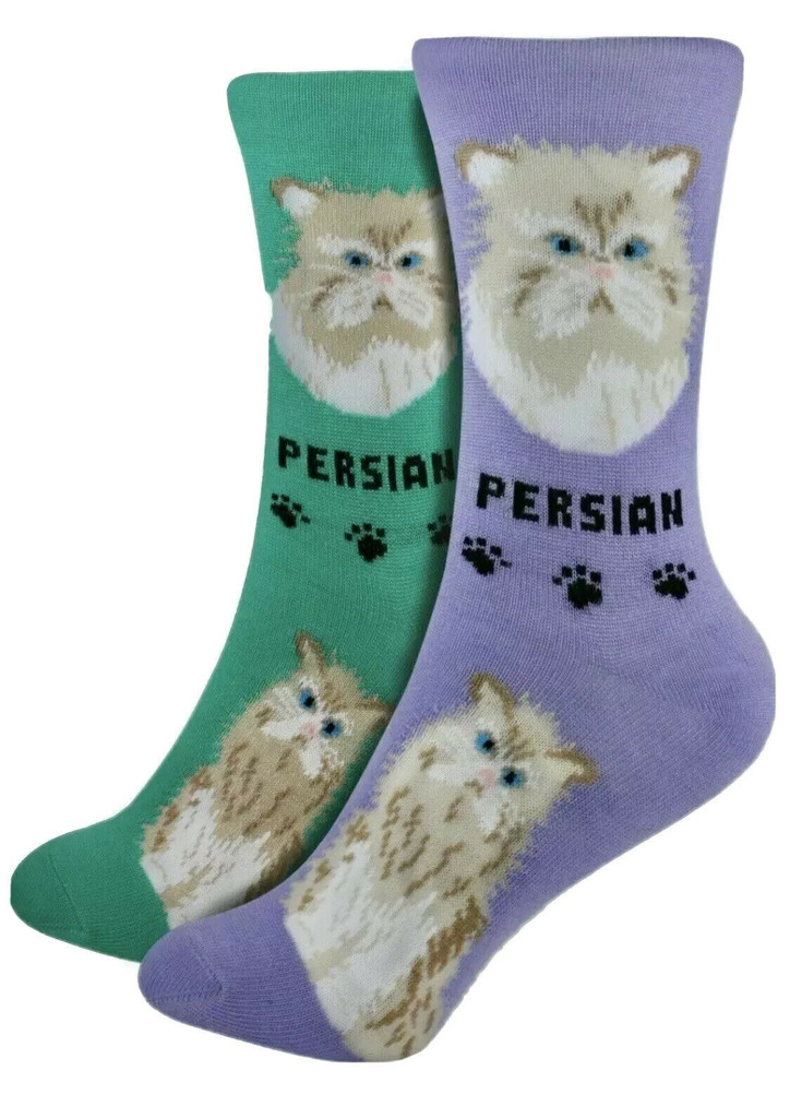 Persian Cat Lover Socks - Two Pairs