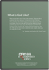 What is God Really Like?  A View from the Parables (DVD)