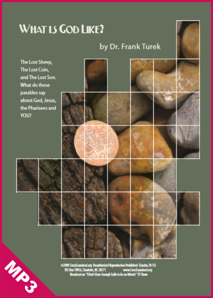 What is God Really Like? A View from the Parables (MP3)