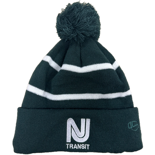Dark Green Knit Pom-Pom Beanie