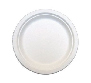 9in HEAVY DUTY PLATE (ECO)  125