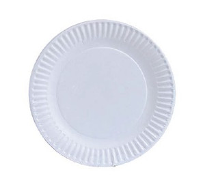 9in ECONOMY PLATES CASE (1200)