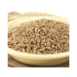 Bronze Chief Hard Red Wheat Kernels 50lb View Product Image