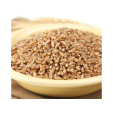 Bronze Chief Kernels 50lb View Product Image