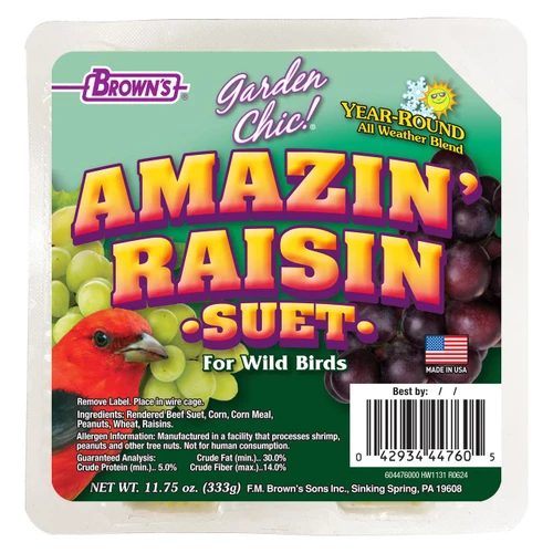Amazin' Raisin Suet 8/11.75oz