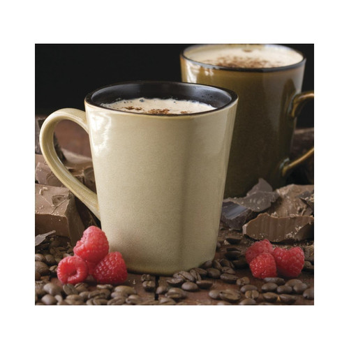 Swiss Mocha Cappuccino 2/5lb