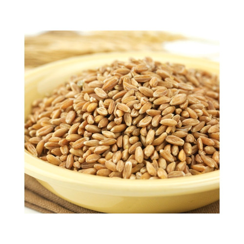 Spelt Berries 50lb View Product Image