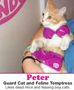 peter.jpg