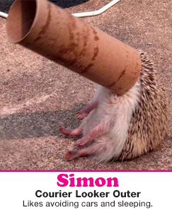 simon.jpg