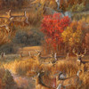 22202 Multi-Color || Whitetail Country