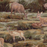 *Dawn's Early Light - Digital