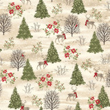 *Snowfall and Sage