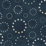 *Washington's Crossing - Digital