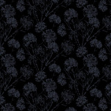 *Dark Shadow II