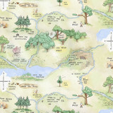 Classic Winnie Minky