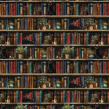 The Catkeeper's Garden