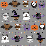Trick or Trot