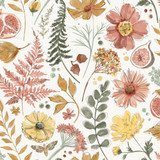 Just Released - Fall