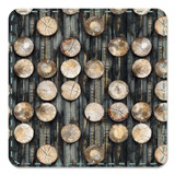 Out of the Woodwork - Digital