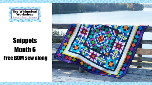 Snippets BOM - Month 6