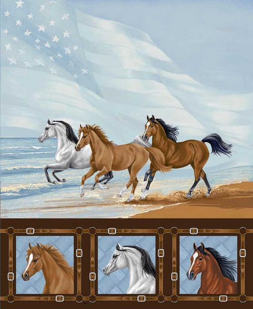 8792P-74 Blue/Multi* || American Spirit