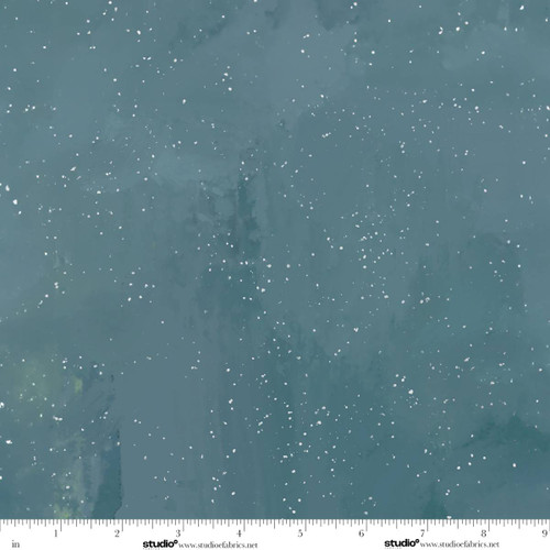 9236-79 Slate || Holly Woods
