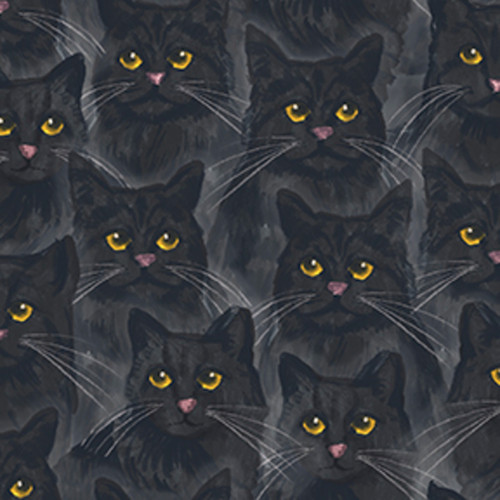 24551 BLACK || Midnight Prowl Minky