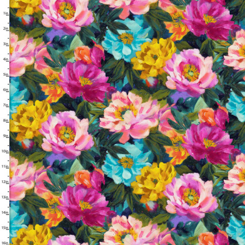 24714 Multi || Catnaps Gone Wild