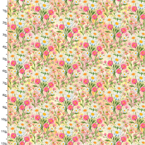 24750 Multi || Out On a Limb