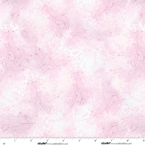 9416-12 Champagne || Let Them Eat Cake!