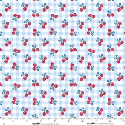 9169-18 Sky/Red || Red, White, & Blueberry