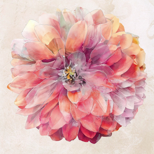 9455P-26 Rose || Rosé All Day