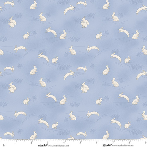 9534-72 Sky Blue || The Bloom Below