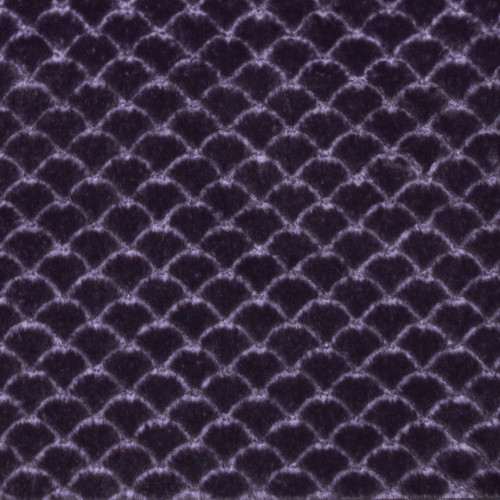 Bloom/Blackberry || Baby Modo Minky