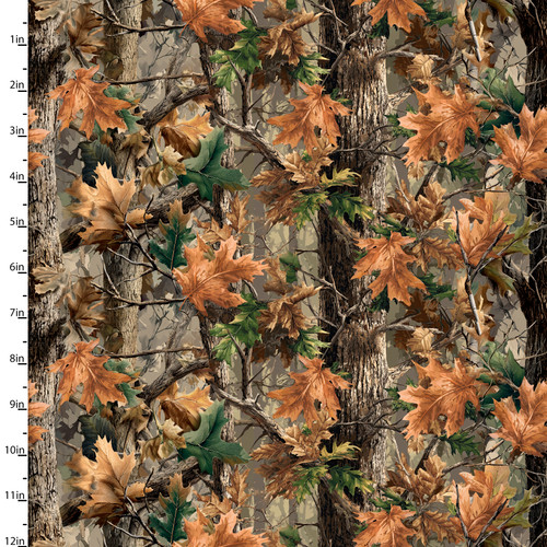 24899 MULTI || Before the Shot