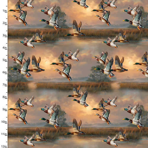 24900 MULTI || Before the Shot