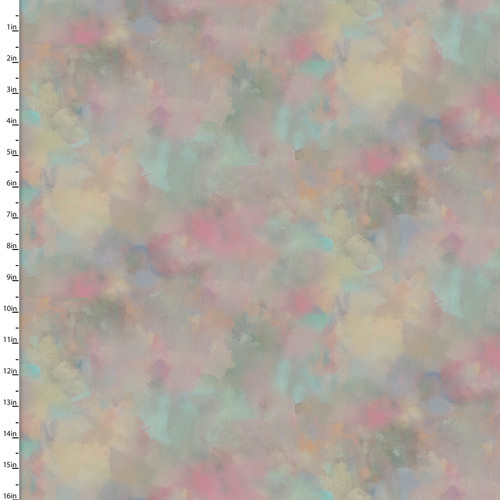 24867 MULTI || The Ballet Class