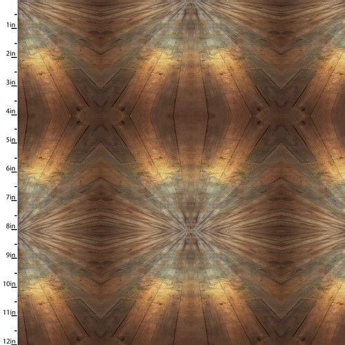 24871 MULTI || The Ballet Class