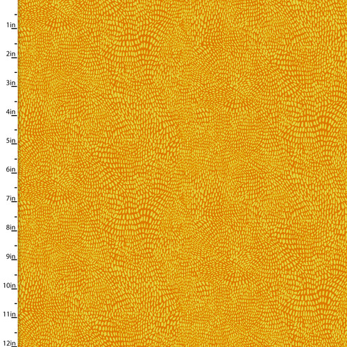 24919 GOLD || Wild Reverie