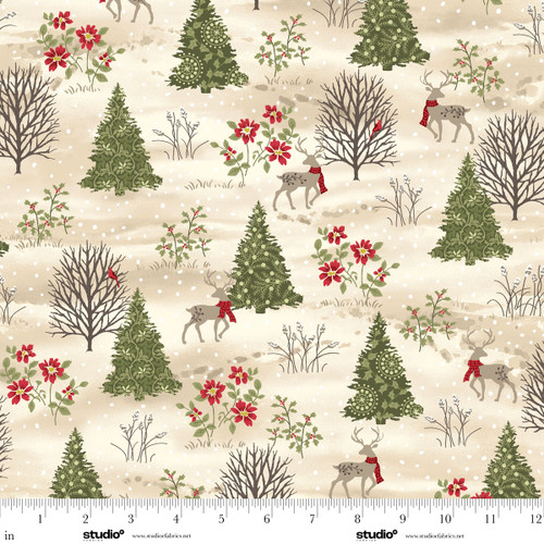 2376-33 Biscuit || Snowfall and Sage