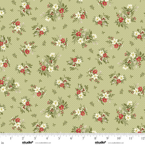 2377-60 Sage || Snowfall and Sage