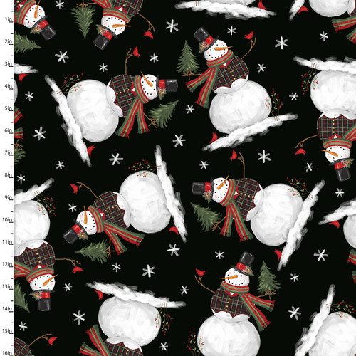 25108 Black || Frosty Fun