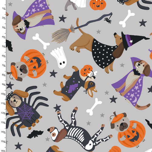 25123 Gray || Trick or Trot