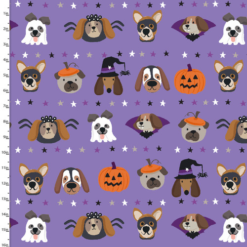 25125 Purple || Trick or Trot