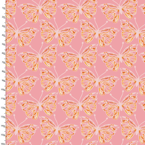 25151 Pink || Wandering Splendor