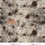 8830-34 Sepia || Scary Spice