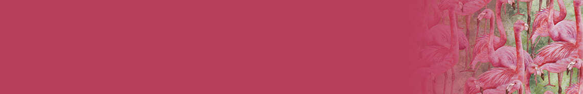flamingo-fling-header.jpg